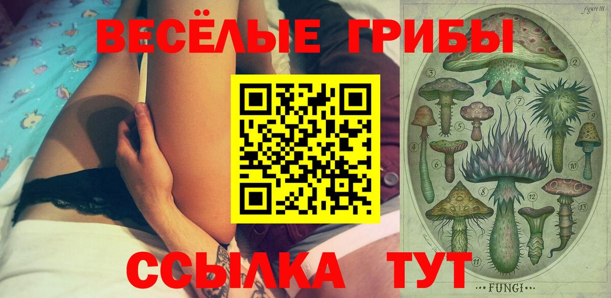 Псилоцибиновые грибы Psilocybe  Вход с VPN  Лысьва 