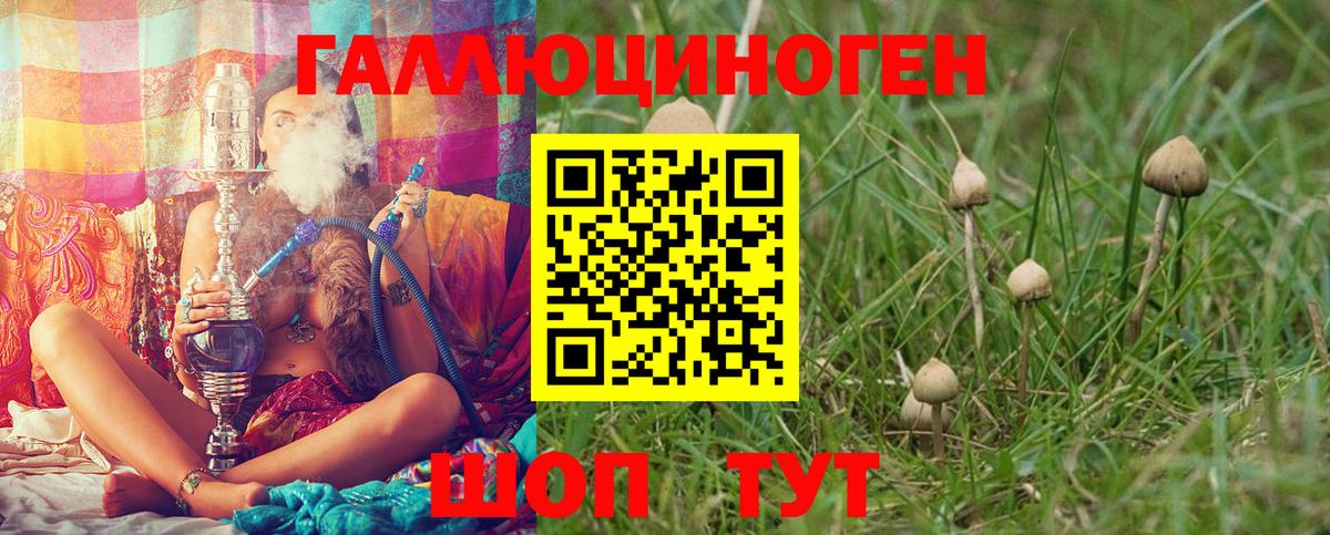Псилоцибиновые грибы ЛСД Лысьва